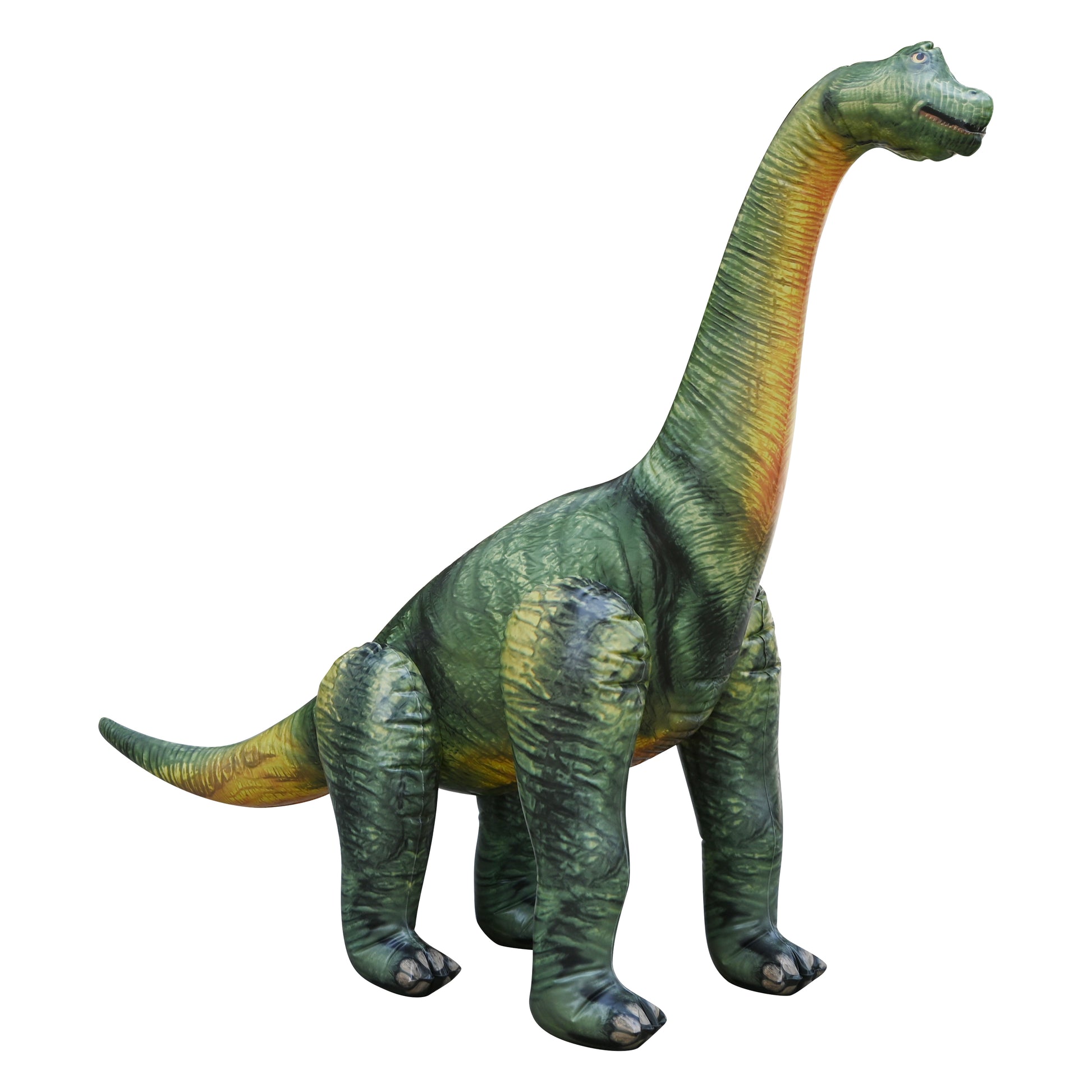 DI-BRAC8 48" Brachiosaurus