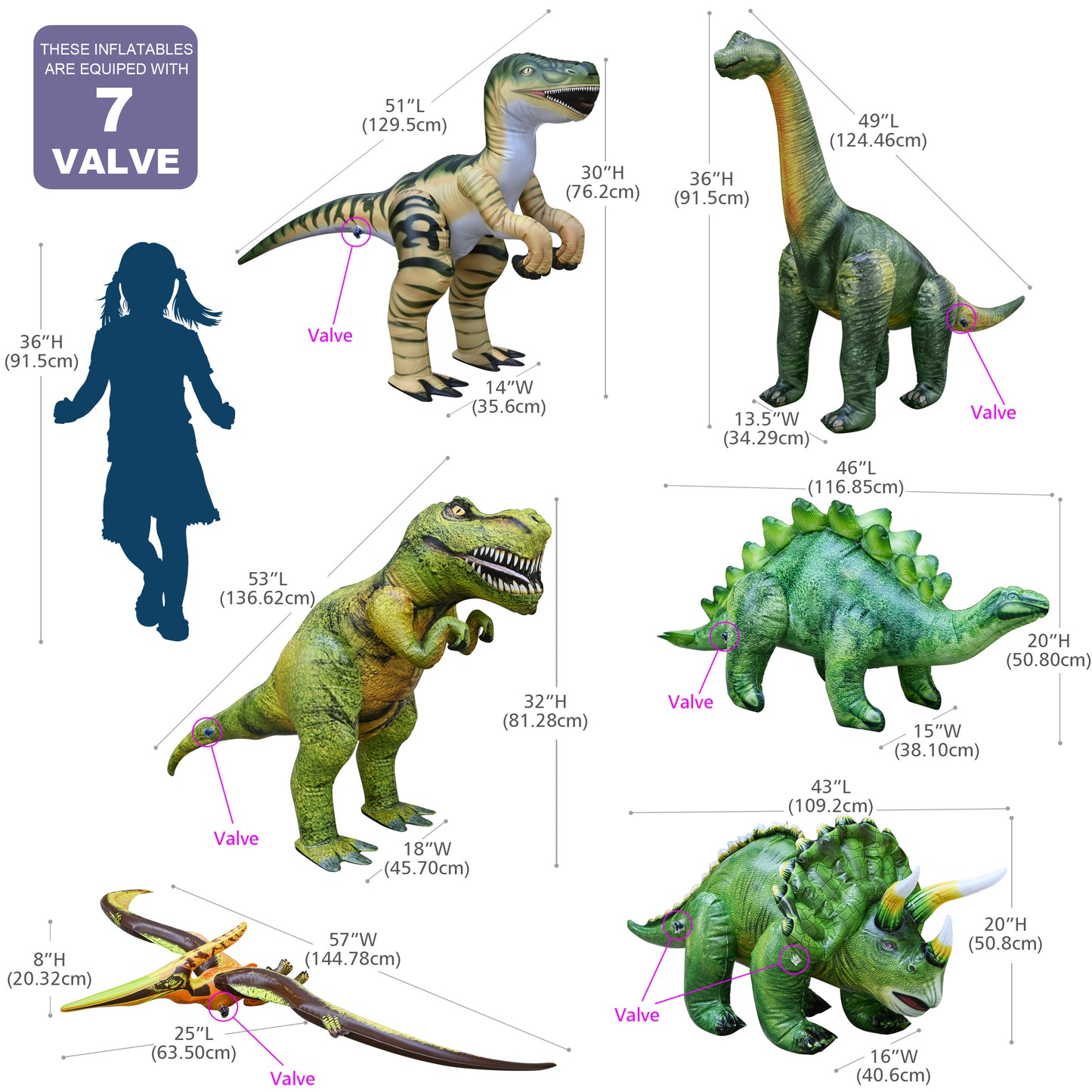 JC-DINO6 -  6-pack Dino Collection - Measurement