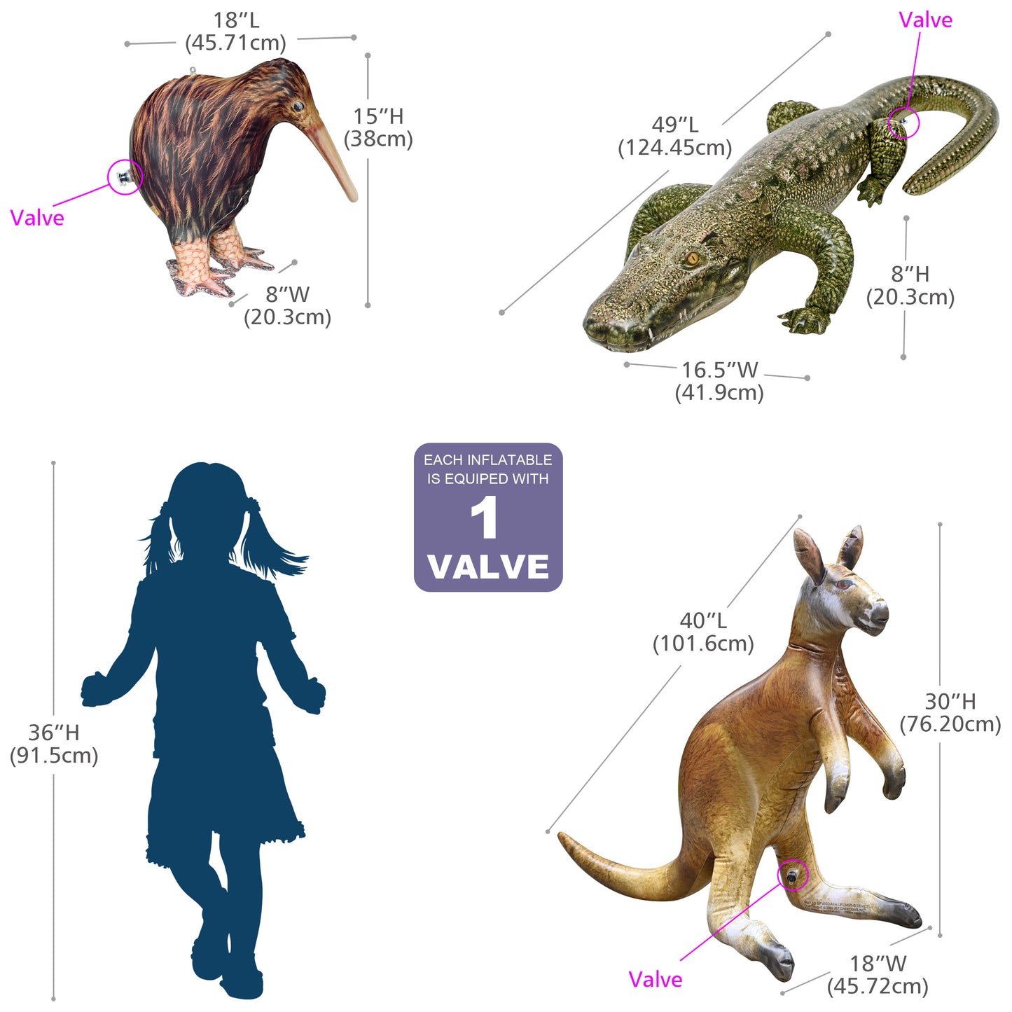 JC-KKG - Kangaroo, Kiwi bird, Alligator - Measurement