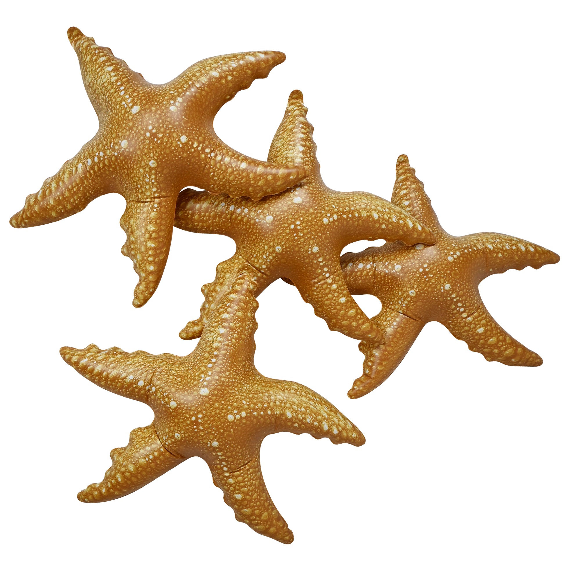 JC-STAR4 4-pack 20in Starfish bundle